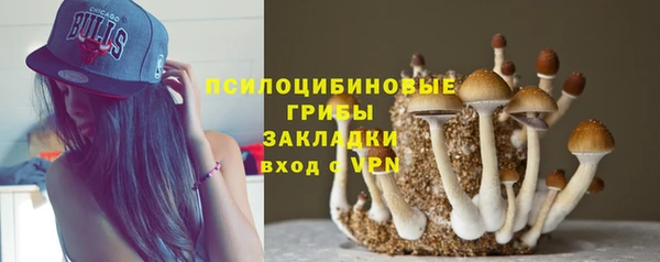 каннабис Дмитровск