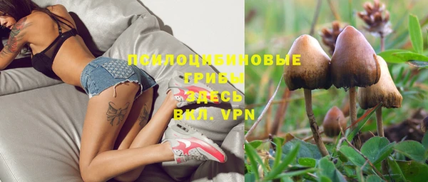 каннабис Дмитровск