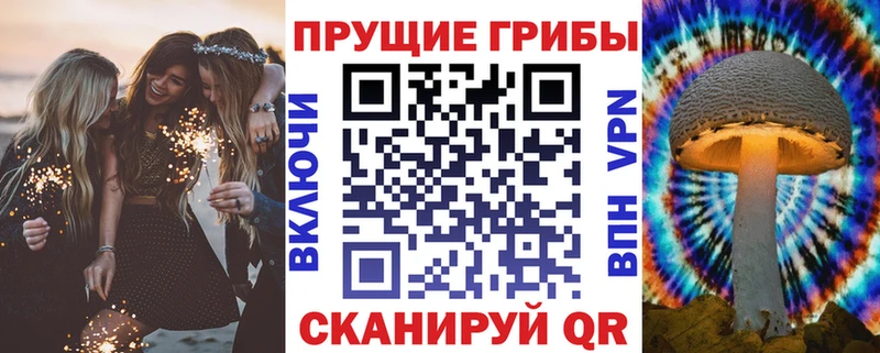 Псилоцибиновые грибы мухоморы  Венёв 